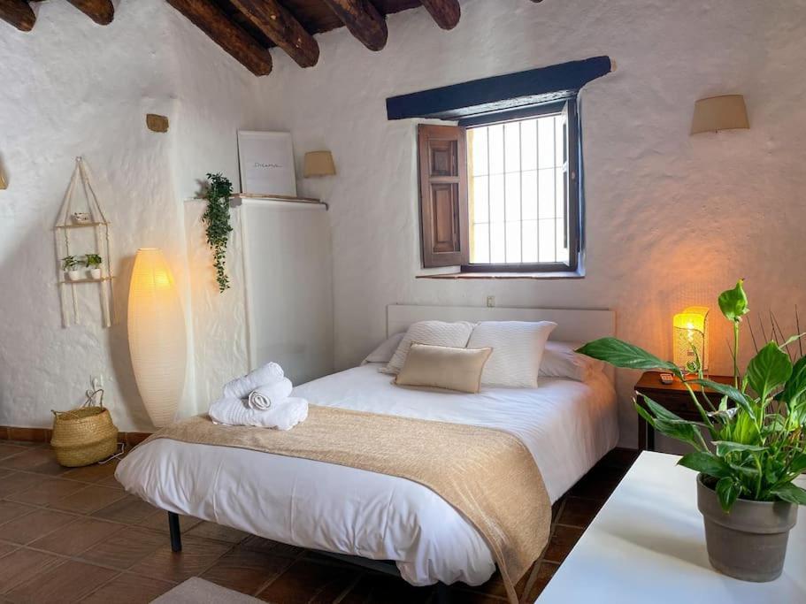Casabenadalid. Casa Rural Con Piscina. Εξωτερικό φωτογραφία